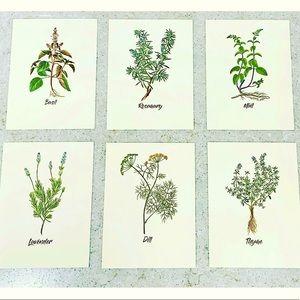 Six Spring Herb Prints (5.5”x7.5”)